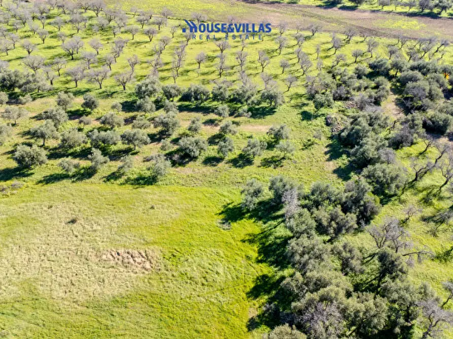 Immagine 20 di Villa in vendita  in vendicari noto a Noto