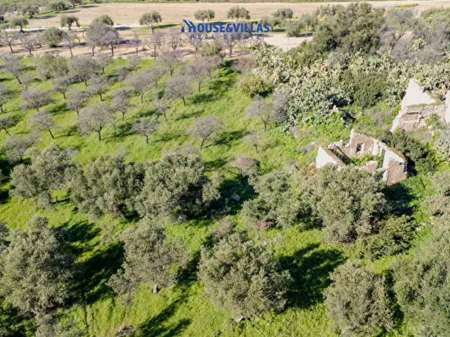 Immagine 22 di Villa in vendita  in vendicari noto a Noto