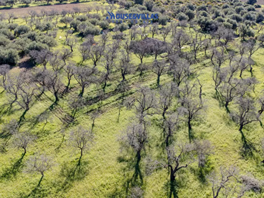 Immagine 27 di Villa in vendita  in vendicari noto a Noto