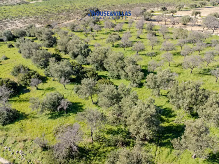 Immagine 28 di Villa in vendita  in vendicari noto a Noto