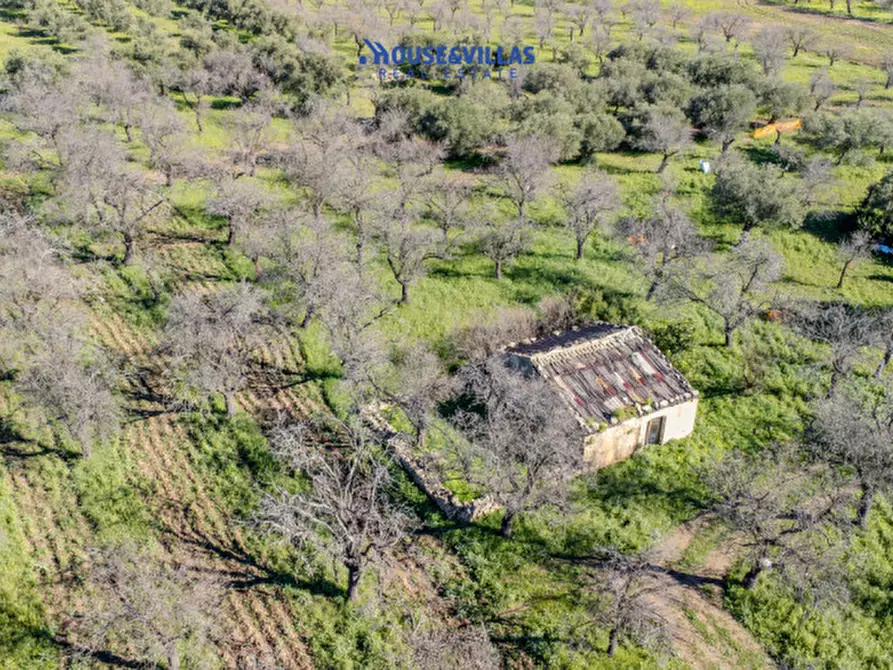 Immagine 29 di Villa in vendita  in vendicari noto a Noto