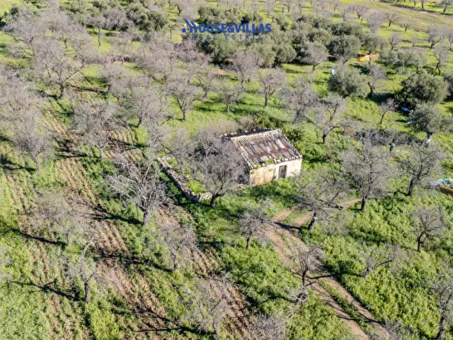 Immagine 31 di Villa in vendita  in vendicari noto a Noto