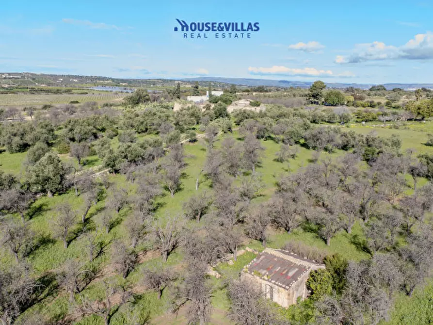 Immagine 32 di Villa in vendita  in vendicari noto a Noto