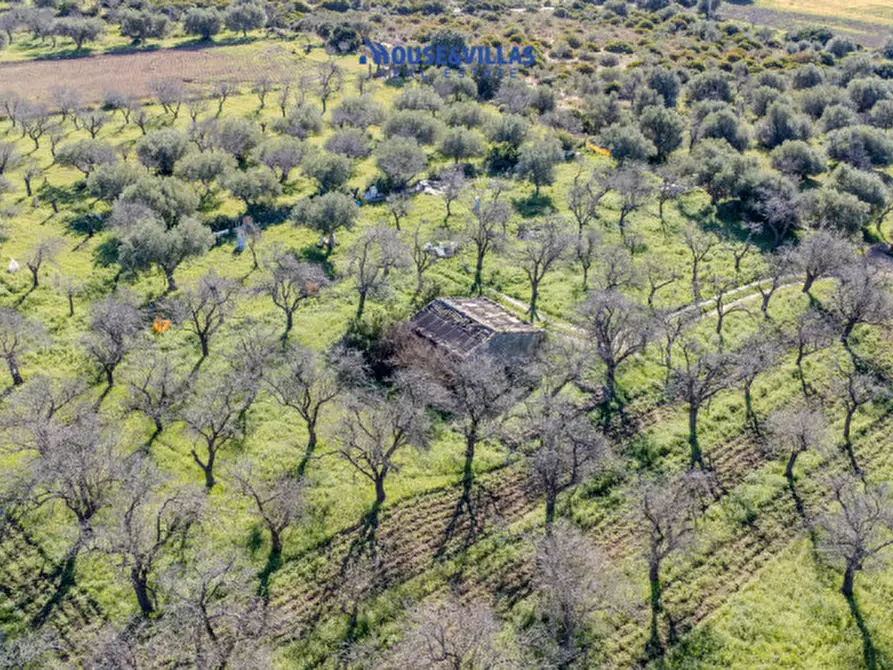 Immagine 33 di Villa in vendita  in vendicari noto a Noto