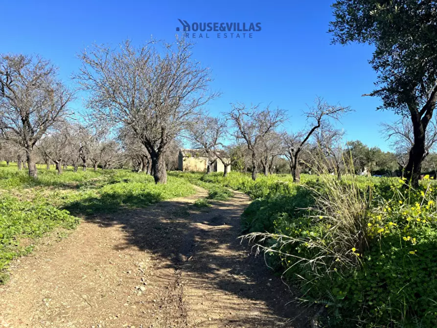 Immagine 34 di Villa in vendita  in vendicari noto a Noto