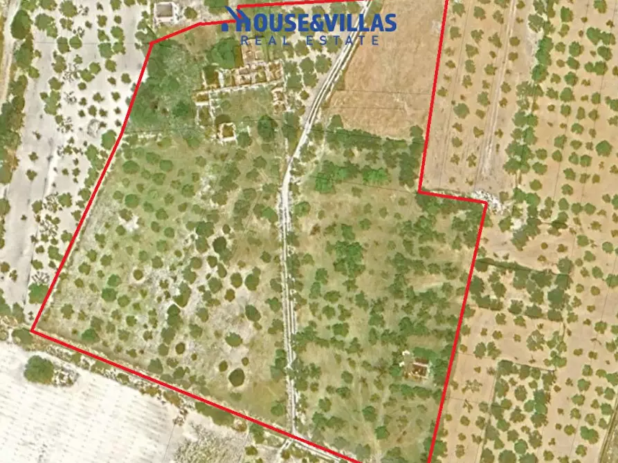 Immagine 37 di Villa in vendita  in vendicari noto a Noto