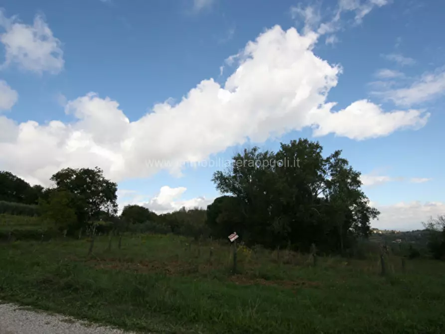 Immagine 2 di Terreno in vendita  a Montepulciano