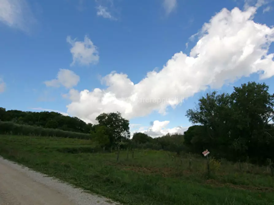 Immagine 3 di Terreno in vendita  a Montepulciano