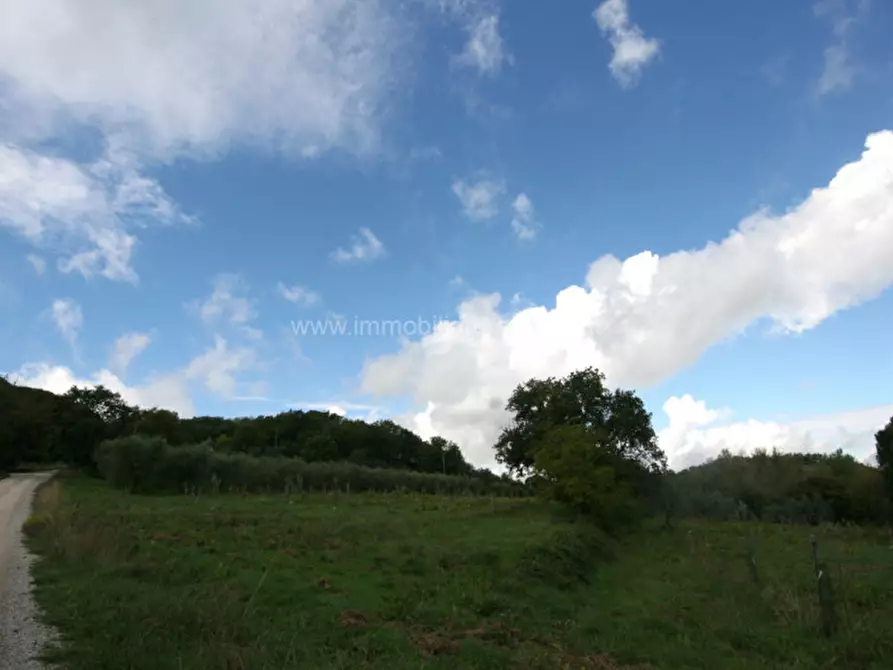 Immagine 4 di Terreno in vendita  a Montepulciano