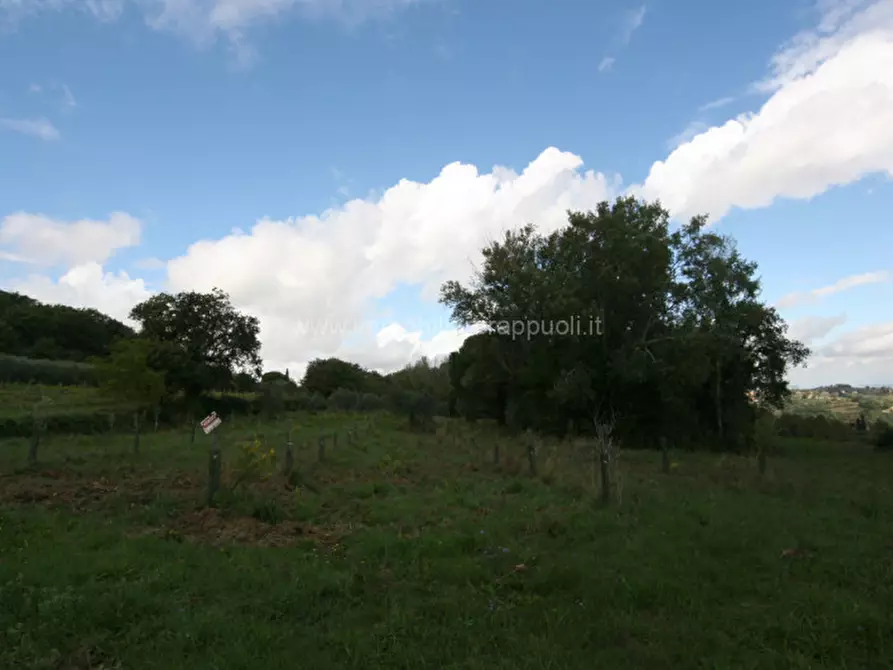 Immagine 6 di Terreno in vendita  a Montepulciano