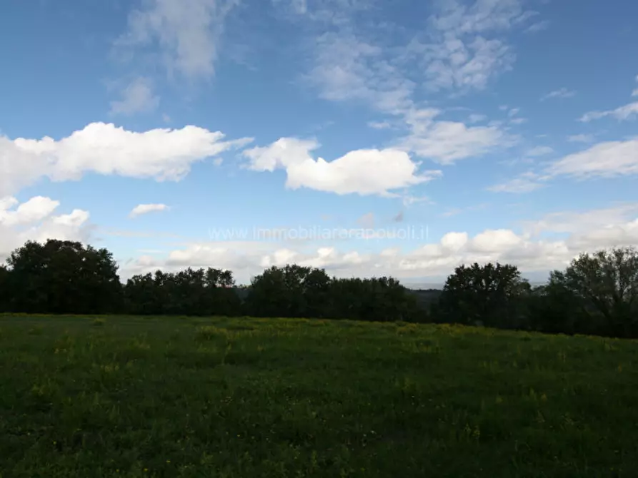 Immagine 8 di Terreno in vendita  a Montepulciano