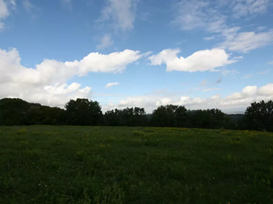 Immagine 9 di Terreno in vendita  a Montepulciano