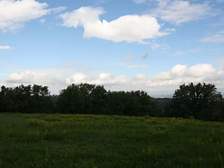 Immagine 11 di Terreno in vendita  a Montepulciano