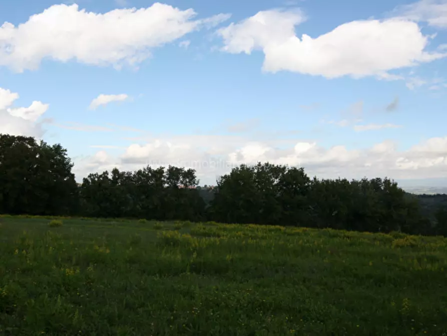 Immagine 12 di Terreno in vendita  a Montepulciano