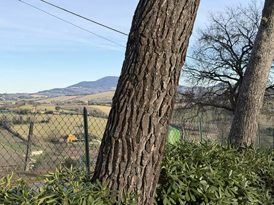 Immagine 5 di Villa in vendita  in Via Montesicuro 180 a Ancona