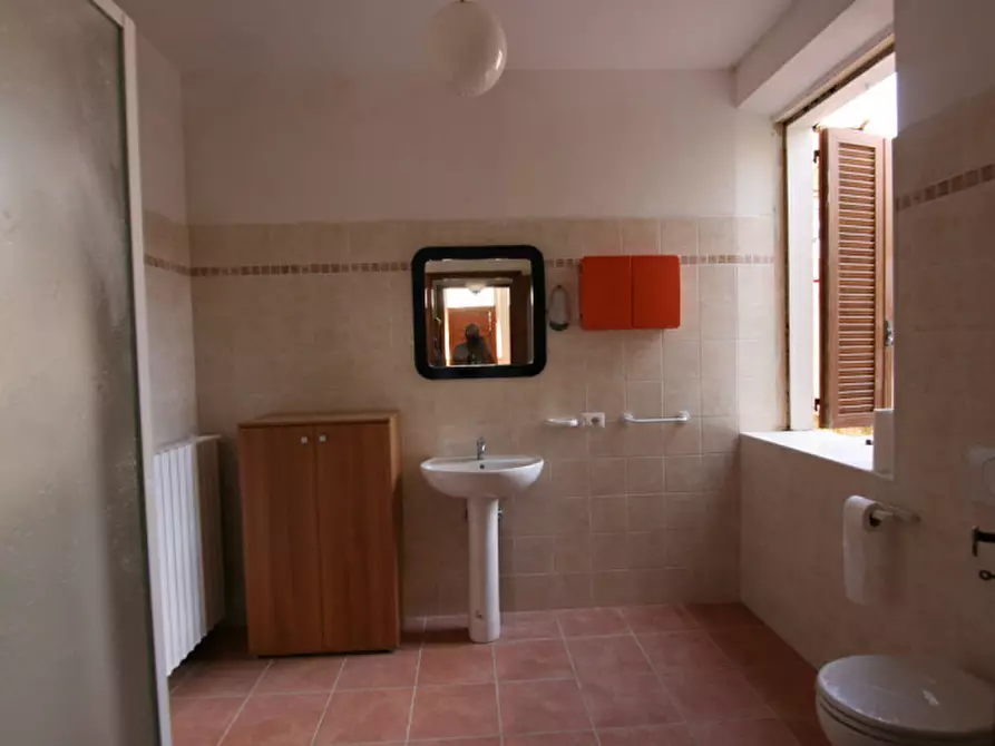 Immagine 4 di Appartamento in vendita  a Sinalunga