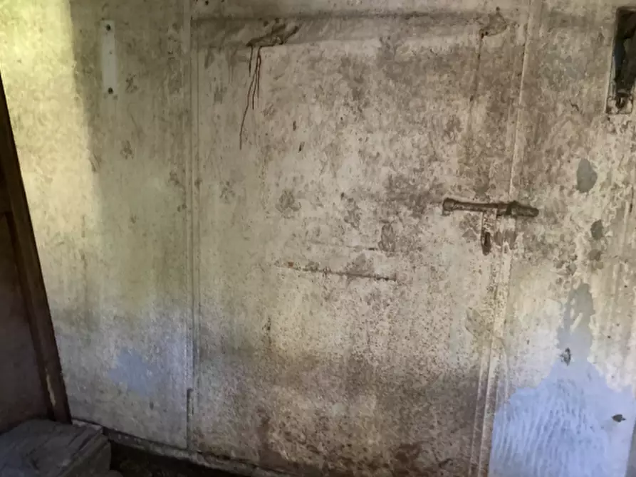 Immagine 2 di Magazzino in vendita  in Via Mondonovo, 52 a Cavarzere