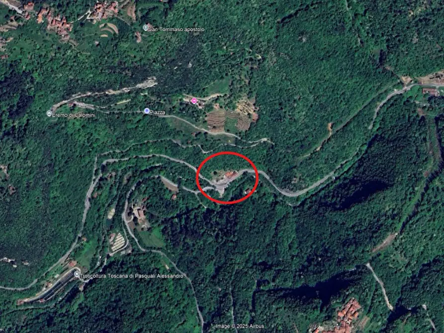 Immagine 23 di Negozio in vendita  in vignola a Fabbriche Di Vergemoli