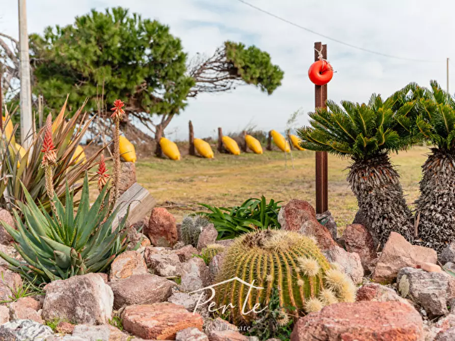 Immagine 8 di Villetta a schiera in vendita  in via calasetta 25 a Calasetta