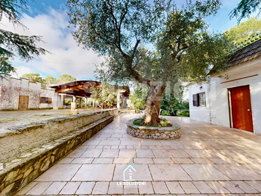 Immagine 5 di Villa in vendita  in strada comunale genna 47 a Castellana Grotte