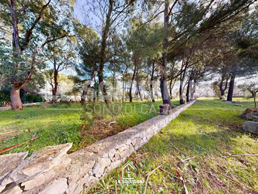 Immagine 50 di Villa in vendita  in strada comunale genna 47 a Castellana Grotte