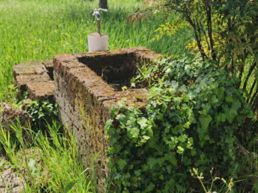 Immagine 18 di Casa indipendente in vendita  in via Solari a Montechiarugolo