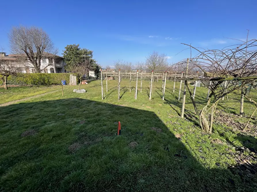 Immagine 2 di Terreno in vendita  in Via del Bosco 23 a Campo San Martino