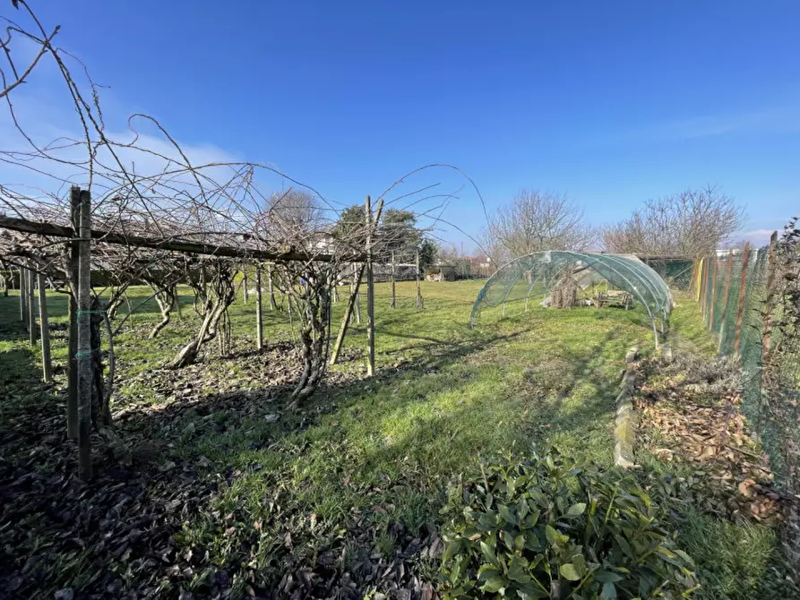 Immagine 3 di Terreno in vendita  in Via del Bosco 23 a Campo San Martino