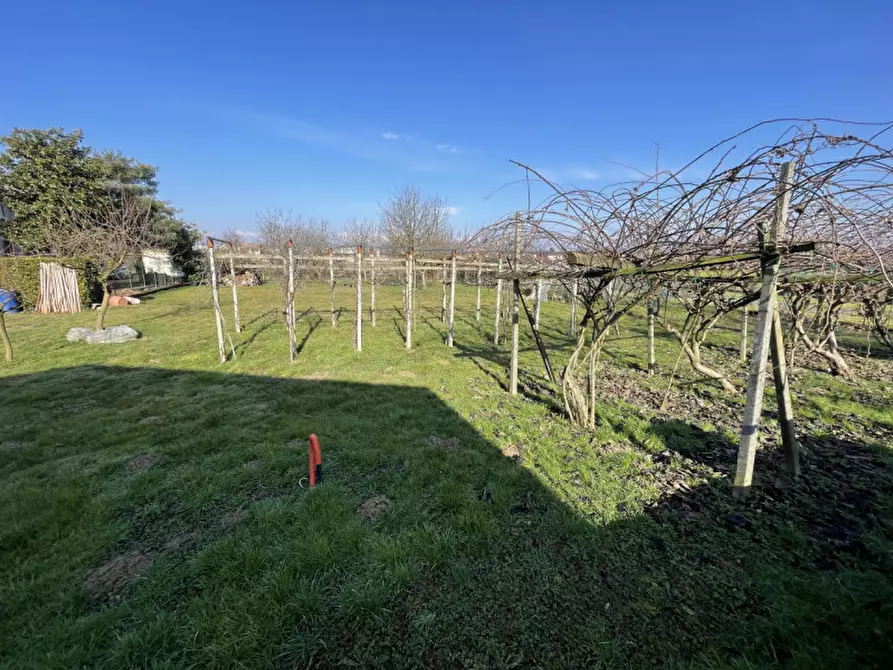 Immagine 4 di Terreno in vendita  in Via del Bosco 23 a Campo San Martino