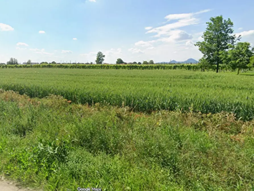 Immagine 1 di Terreno in vendita  a Monselice