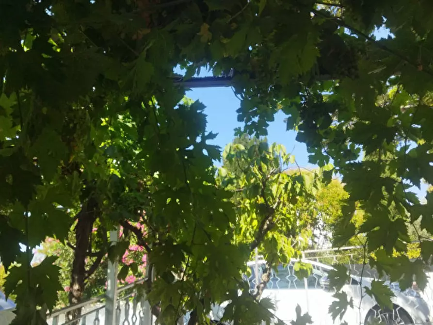 Immagine 12 di Appartamento in affitto  in Via delle Ortensie a Numana