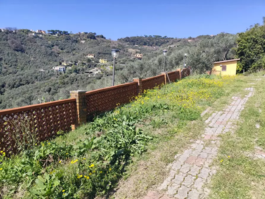 Immagine 8 di Villa in vendita  in prima collina a Moneglia