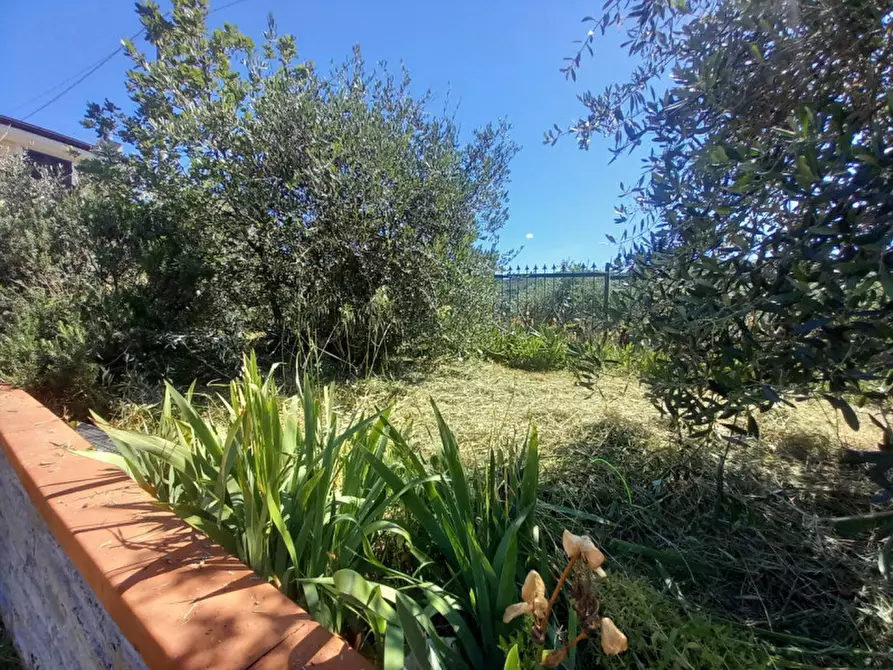 Immagine 9 di Villa in vendita  in prima collina a Moneglia
