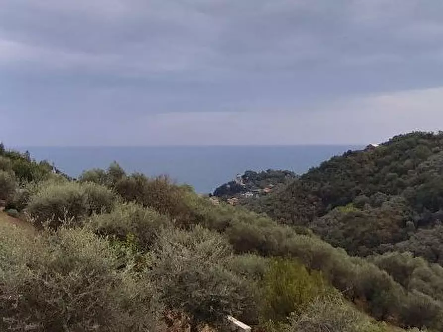 Immagine 1 di Villa in vendita  in prima collina a Moneglia