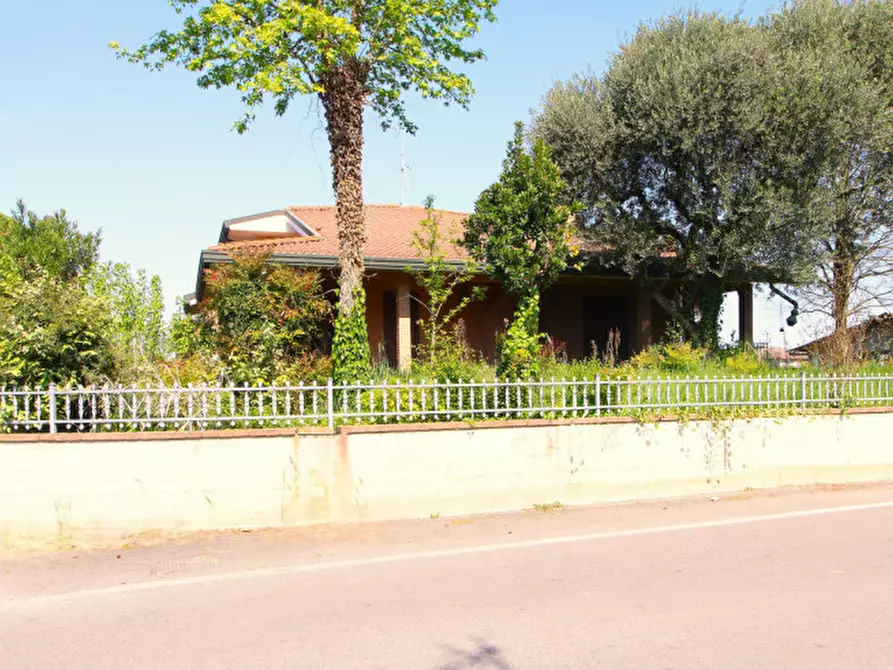 Immagine 48 di Villa in vendita  in Via Paolo Sarpi 18 a Solesino