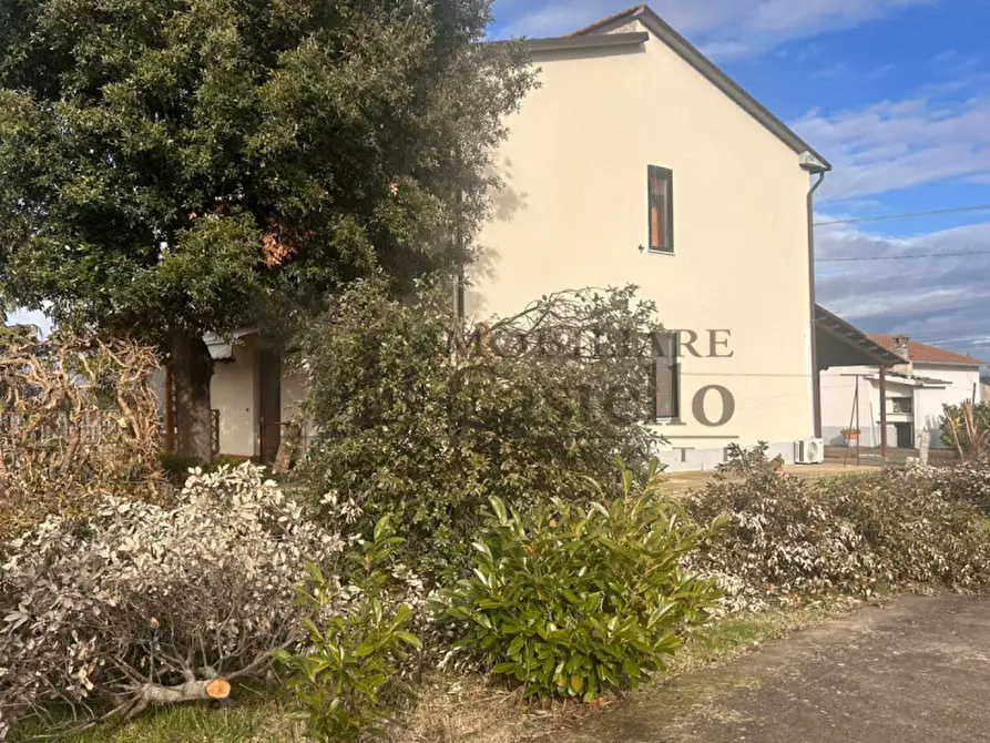 Immagine 12 di Casa indipendente in vendita  in colonnetta a Castiglione Del Lago