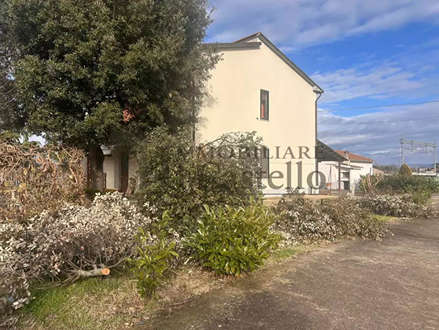 Immagine 14 di Casa indipendente in vendita  in colonnetta a Castiglione Del Lago