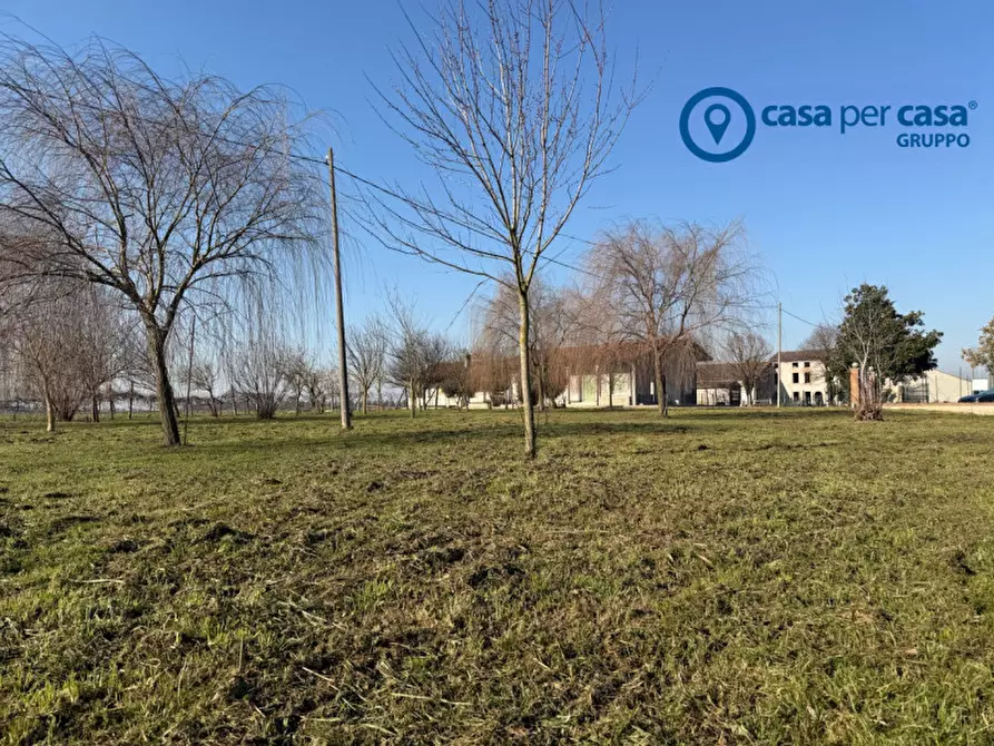 Immagine 31 di Casa bifamiliare in vendita  in Via Isolella, 5 a Cerea