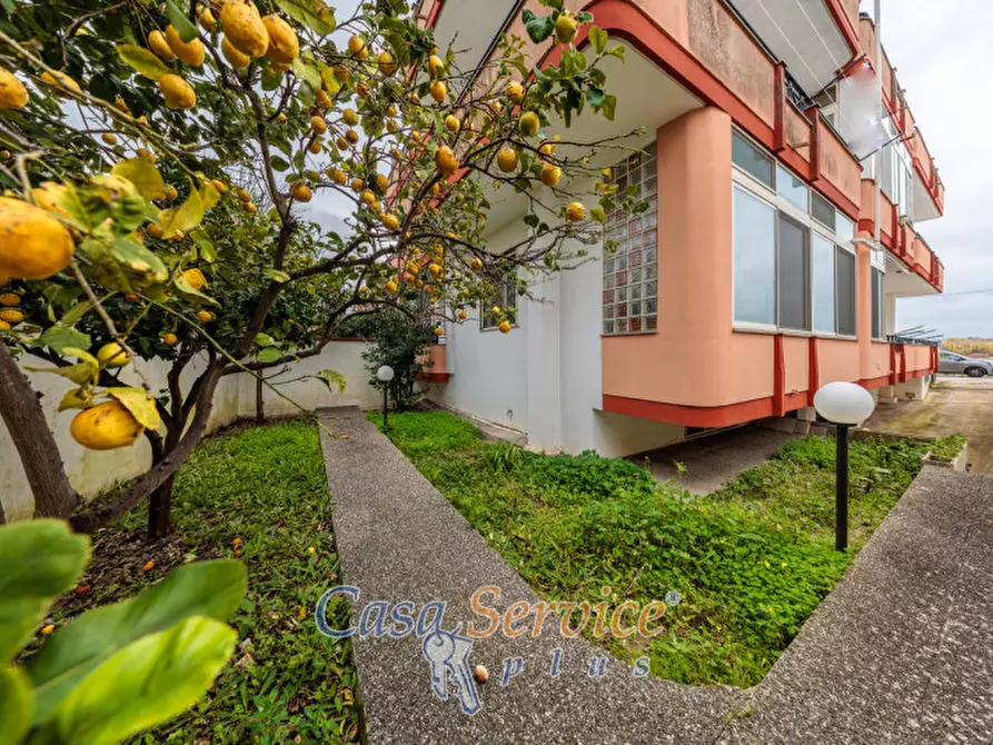 Immagine 45 di Casa indipendente in vendita  in Via antonio vivaldi a Cutrofiano