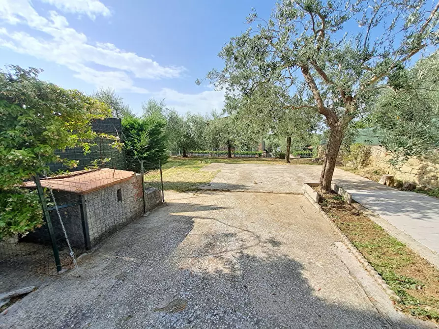 Immagine 3 di Appartamento in vendita  a Passignano Sul Trasimeno