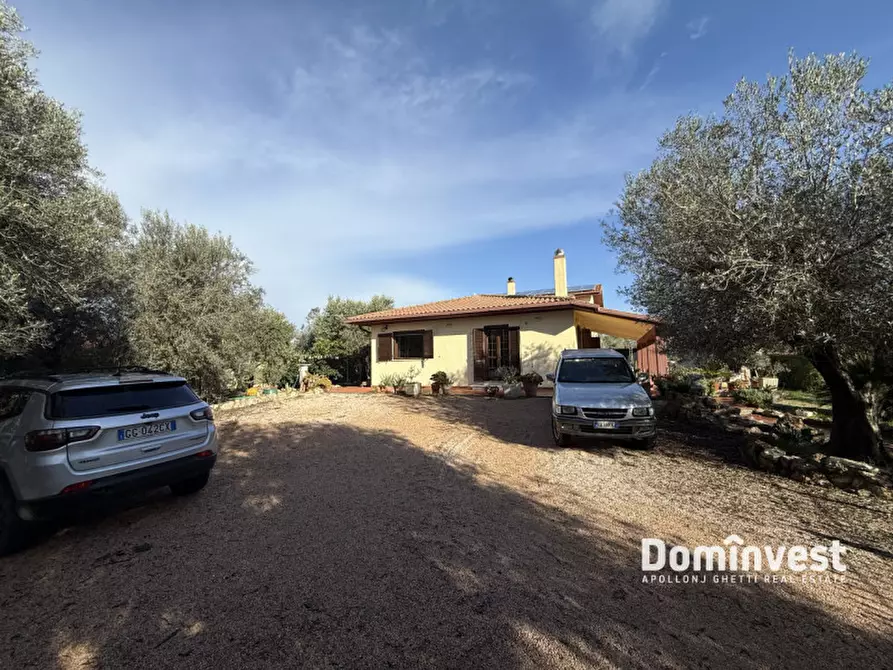 Immagine 14 di Casa bifamiliare in vendita  in Via dei Glicini a Montalto Di Castro