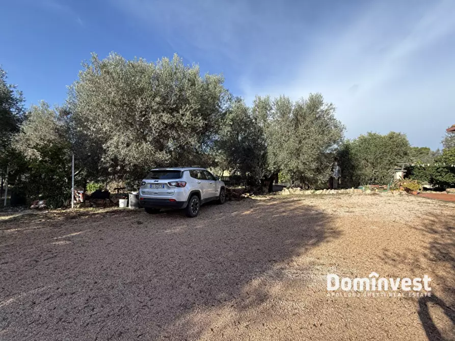 Immagine 18 di Casa bifamiliare in vendita  in Via dei Glicini a Montalto Di Castro