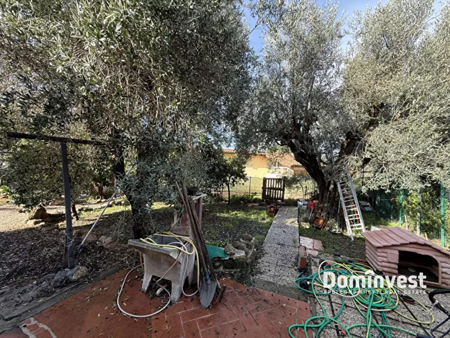 Immagine 21 di Casa bifamiliare in vendita  in Via dei Glicini a Montalto Di Castro