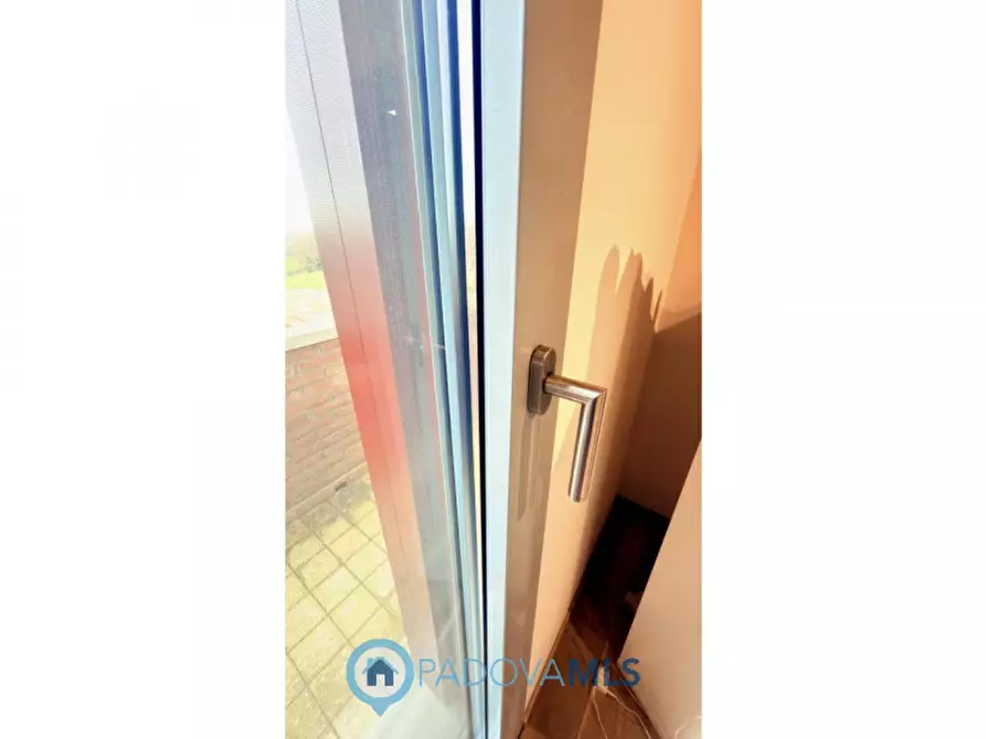 Immagine 63 di Casa indipendente in vendita  in Via Olmo per Conselve a Bagnoli Di Sopra