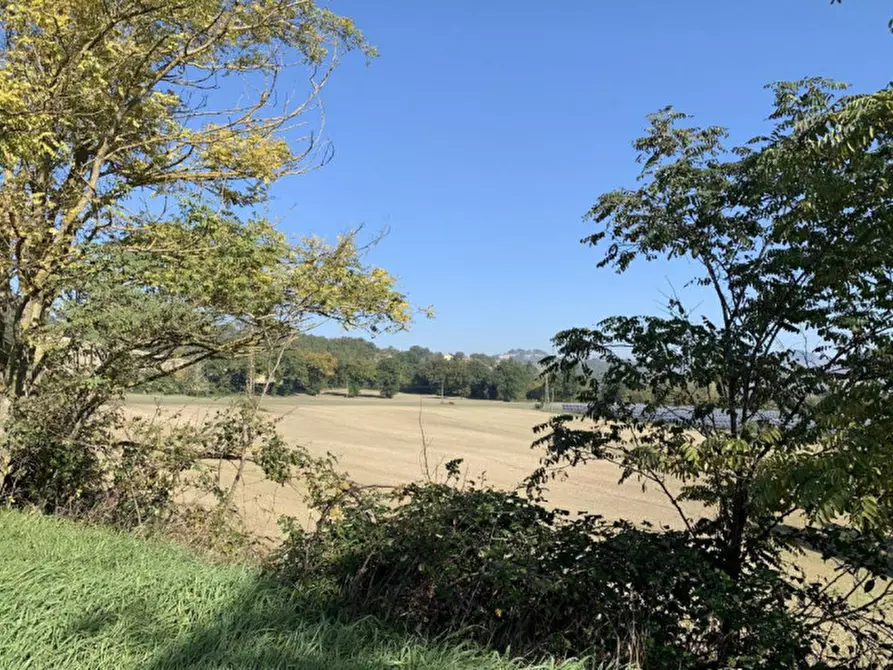 Immagine 2 di Terreno in vendita  in Località Candiracci, SP 3 – Via Flaminia Nord, Cagli PU, Italia a Cagli