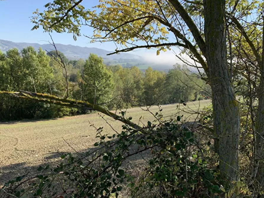 Immagine 4 di Terreno in vendita  in Località Candiracci, SP 3 – Via Flaminia Nord, Cagli PU, Italia a Cagli