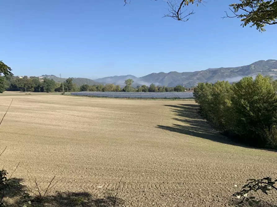 Immagine 3 di Terreno in vendita  in Località Candiracci, SP 3 – Via Flaminia Nord, Cagli PU, Italia a Cagli