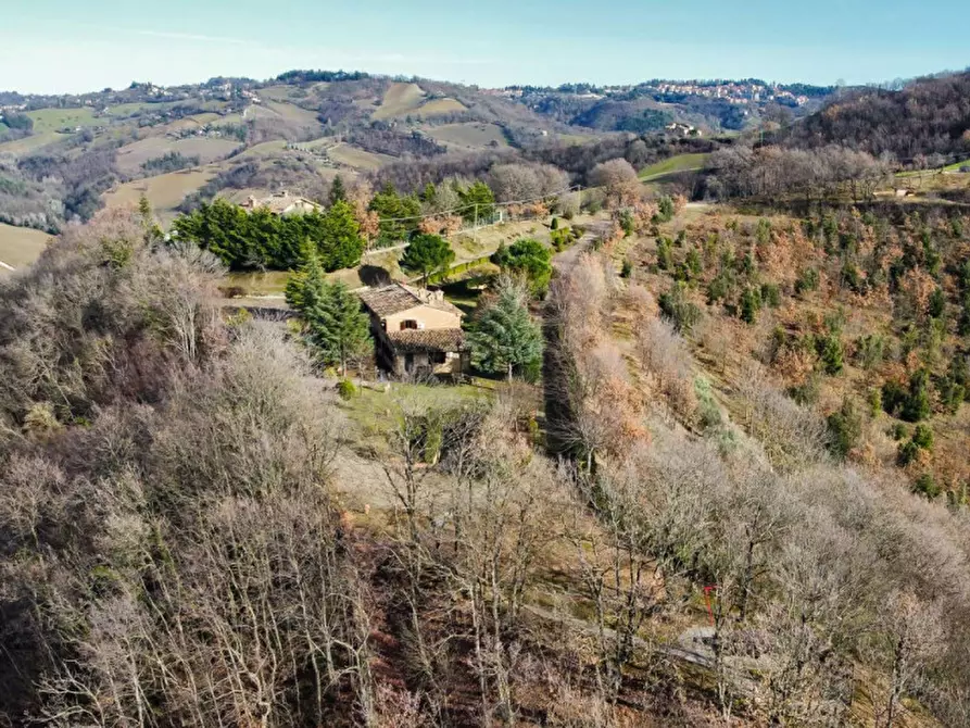 Immagine 2 di Rustico / casale in vendita  in Maciolla a Urbino
