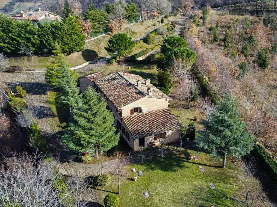 Immagine 4 di Rustico / casale in vendita  in Maciolla a Urbino