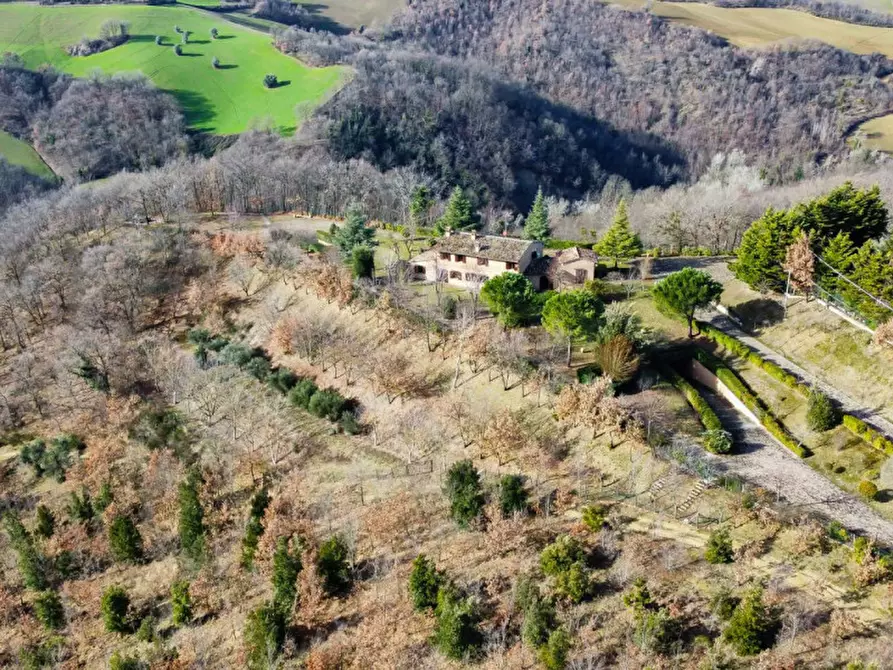 Immagine 46 di Rustico / casale in vendita  in Maciolla a Urbino